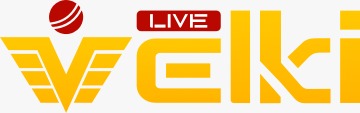 Add Logo