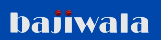 Add Logo