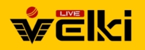 Add Logo